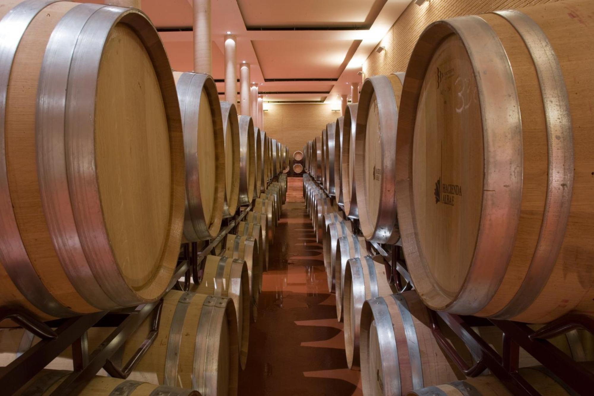 阿尔巴酒窖庄园酒店 Argamasilla de Alba 外观 照片
